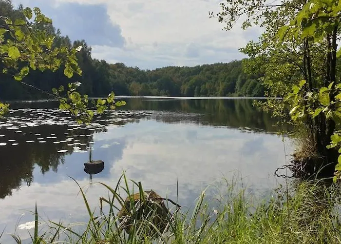 度假居 With Private Sauna, Jacuzzi And Pool Czestkowo (Koscierzyna)